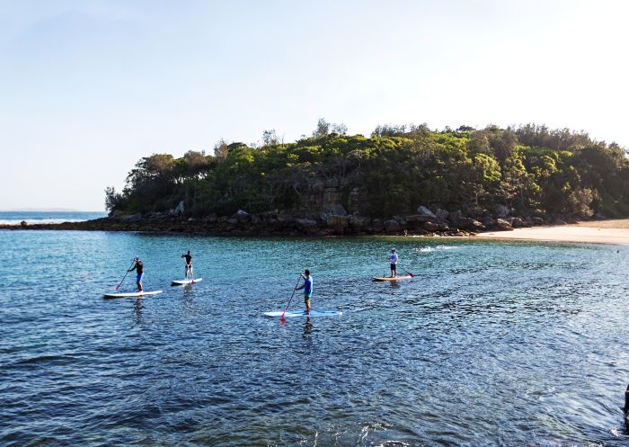 Stand-up paddleboarding, Shelly Beach
